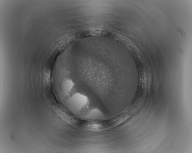 X0000110890610200907021518