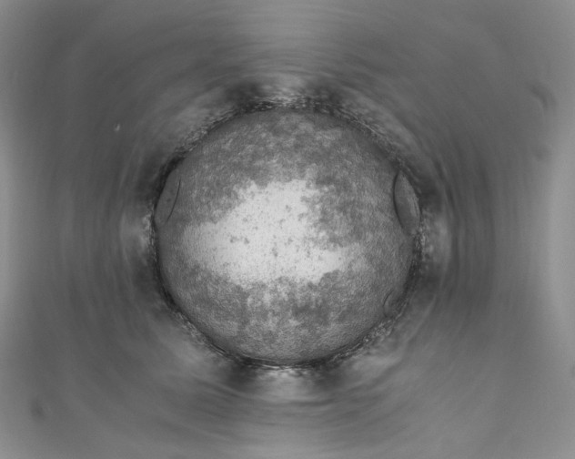 X0000110890611200907021518