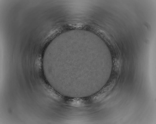 X0000110890612200907021518