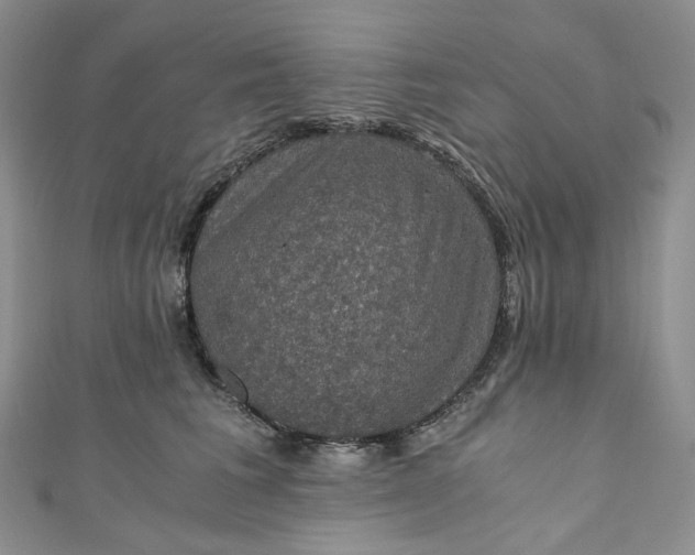 X0000110890613200907021518