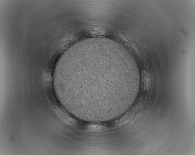 X0000110890614200907021518