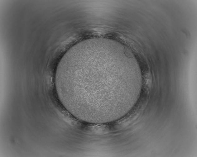 X0000110890615200907021518