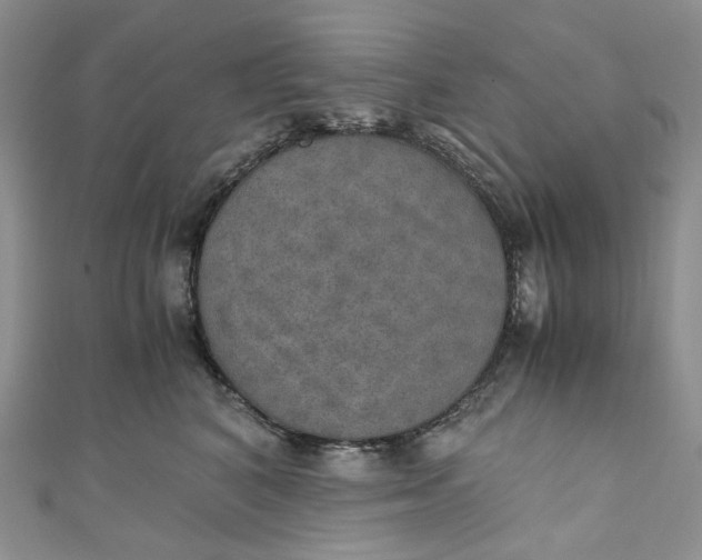 X0000110890616200907021518