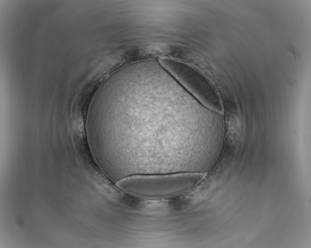 X0000110890617200907021518