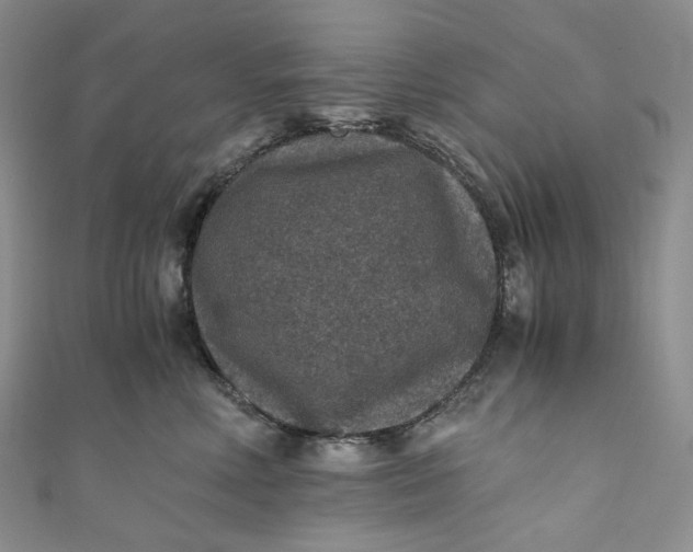 X0000110890618200907021518