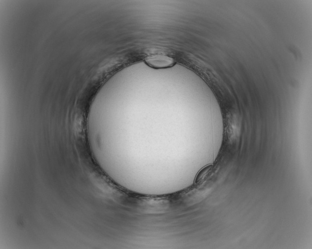 X0000110890619200907021518