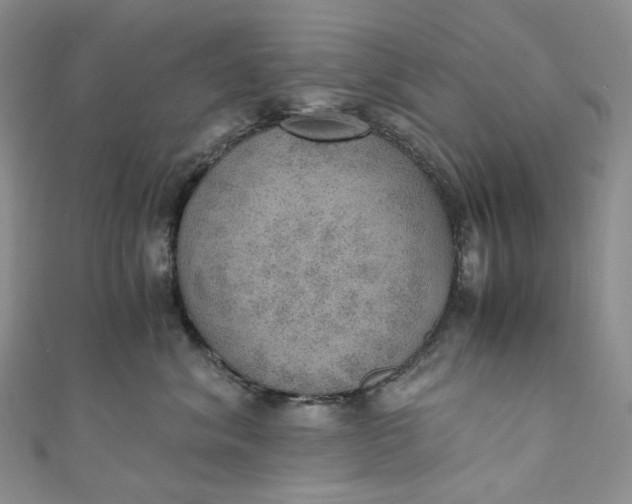 X0000110890620200907021518