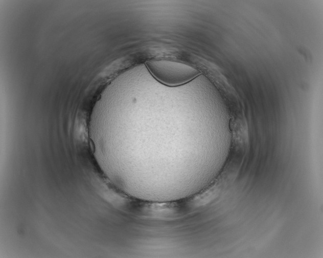 X0000110890622200907021518