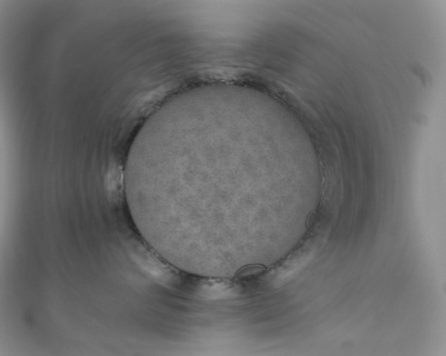 X0000110890624200907021518