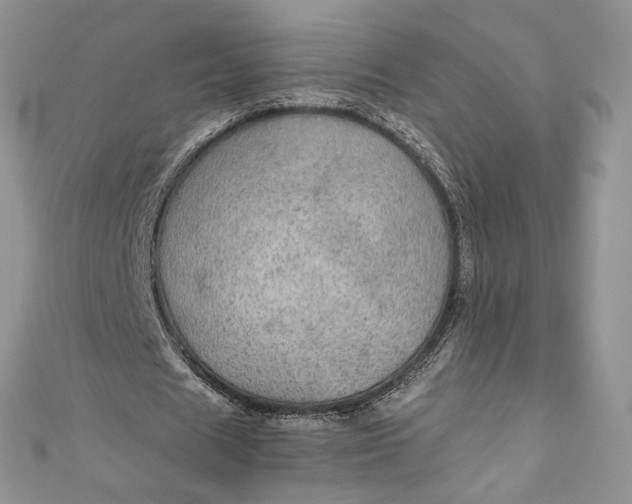 X0000110890625200907021518