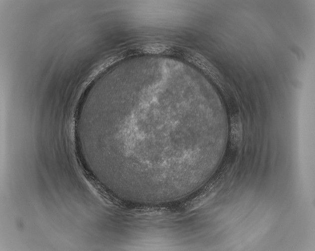 X0000110890626200907021518