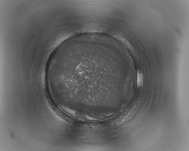 X0000110890627200907021518