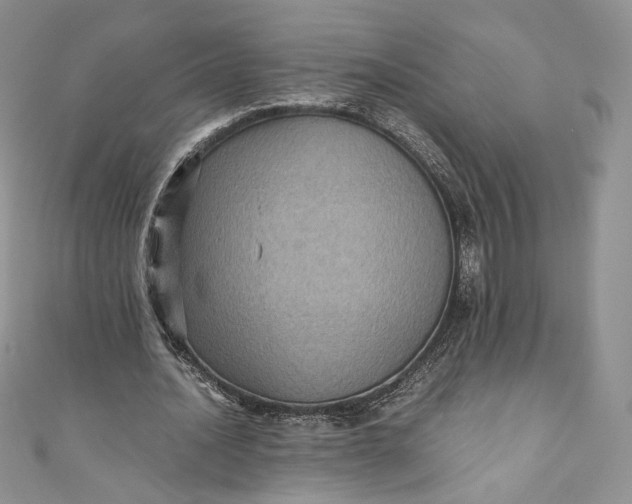 X0000110890628200907021518