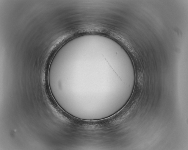 X0000110890629200907021518