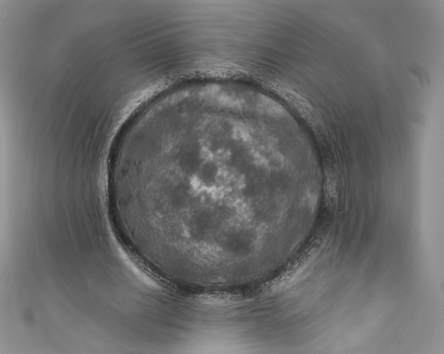 X0000110890630200907021518