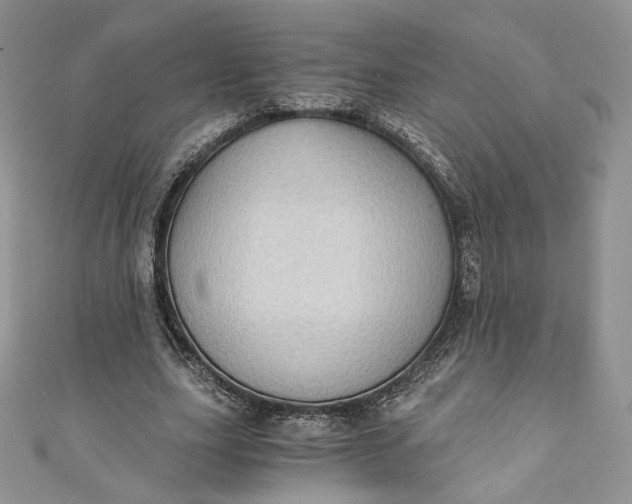 X0000110890631200907021518