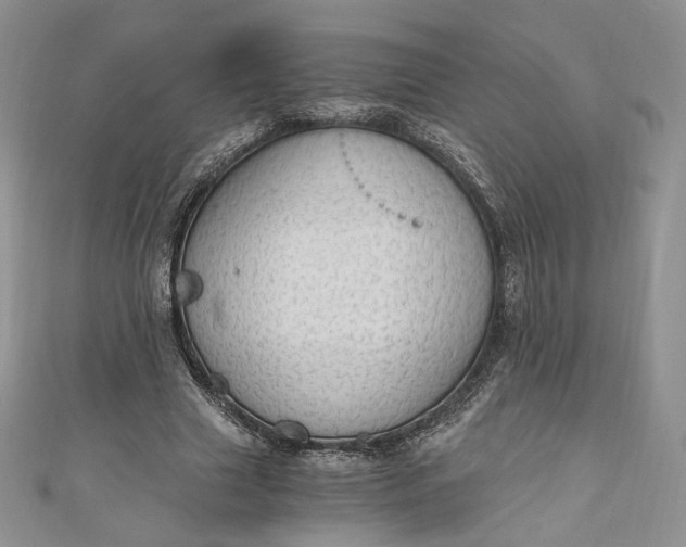 X0000110890633200907021518