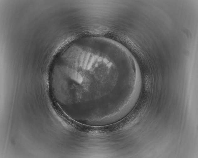 X0000110890634200907021518