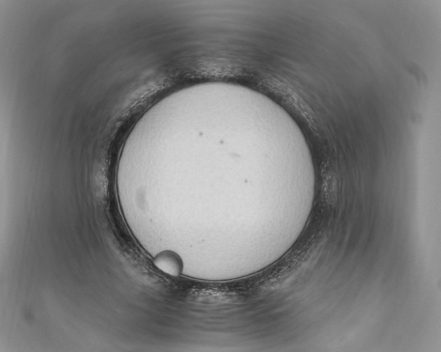 X0000110890635200907021518