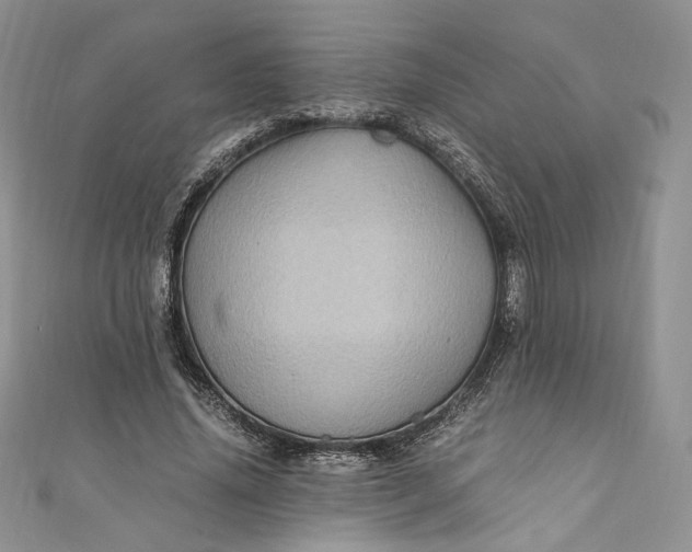 X0000110890636200907021518