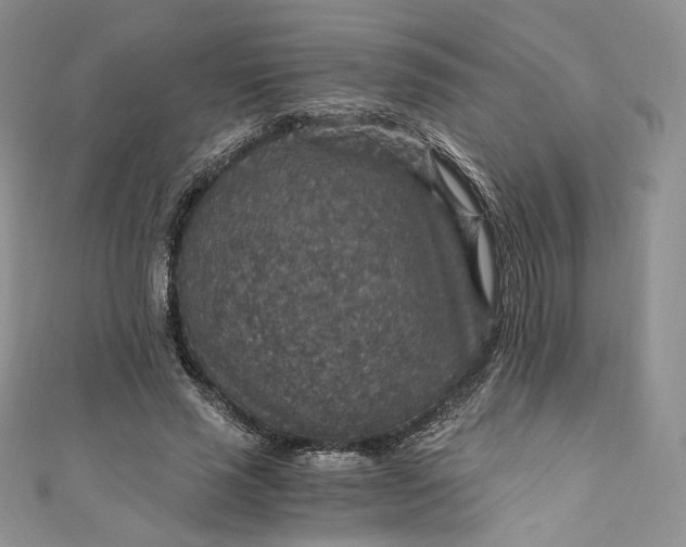 X0000110890637200907021518