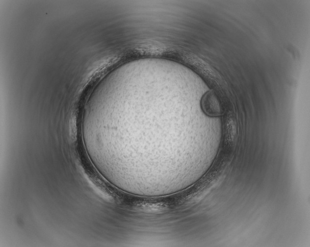 X0000110890638200907021518