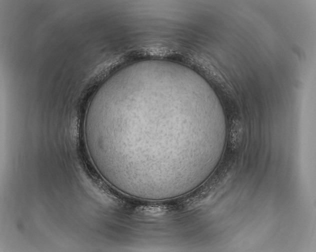 X0000110890639200907021518