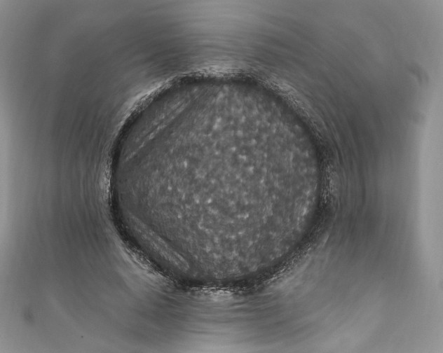 X0000110890640200907021518