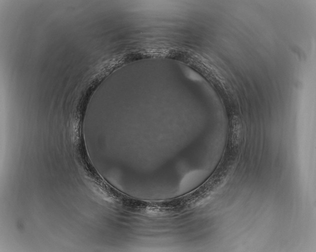 X0000110890641200907021518