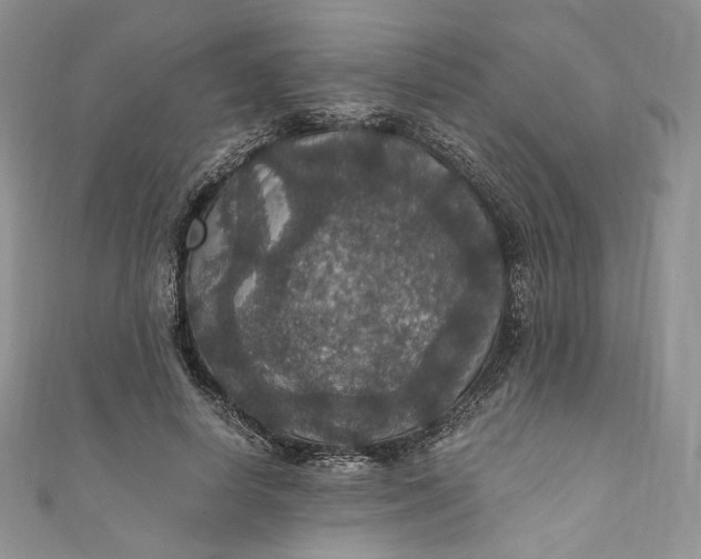 X0000110890642200907021518