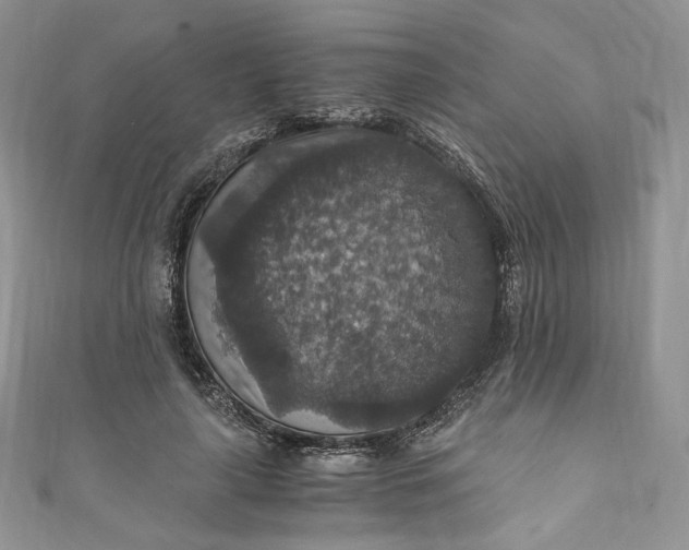 X0000110890643200907021518