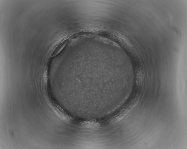 X0000110890644200907021518