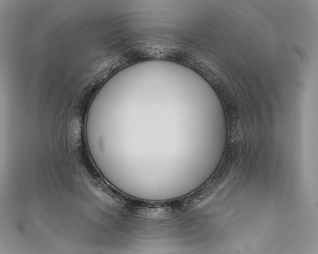 X0000110890646200907021518