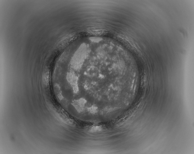 X0000110890647200907021518