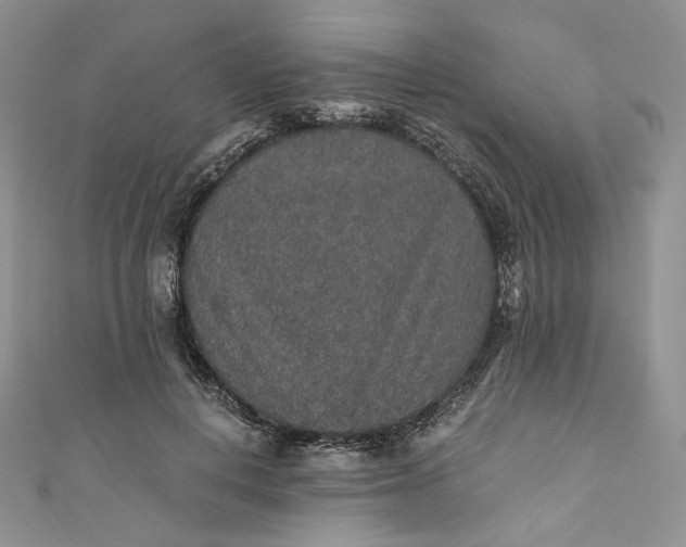 X0000110890648200907021518