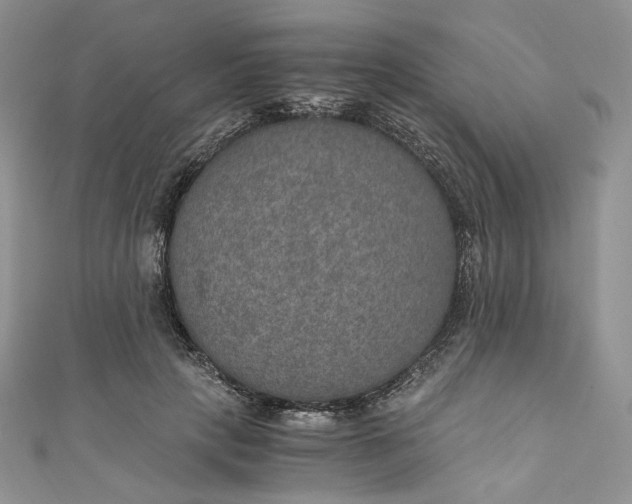 X0000110890649200907021518