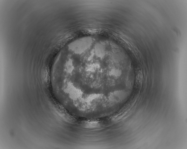 X0000110890651200907021518