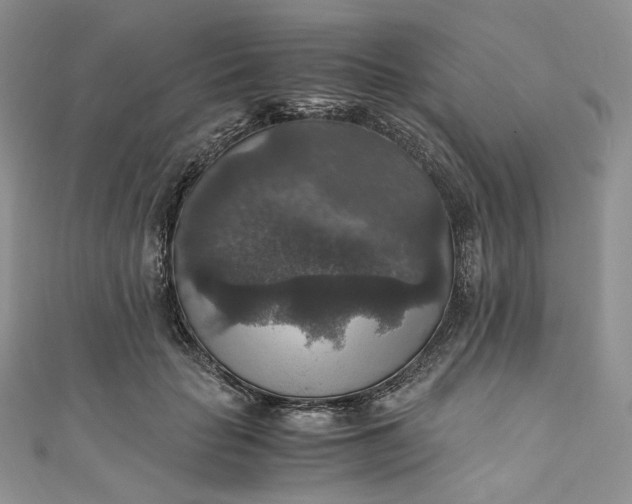 X0000110890653200907021518