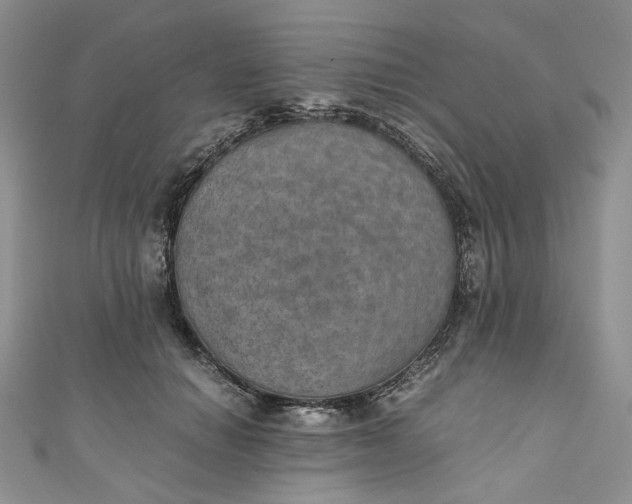 X0000110890654200907021518