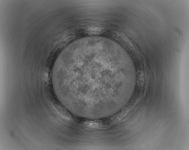 X0000110890655200907021518