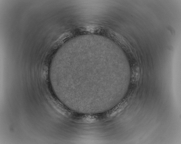 X0000110890656200907021518