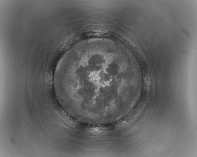 X0000110890657200907021518