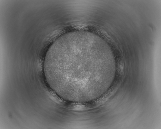 X0000110890658200907021518