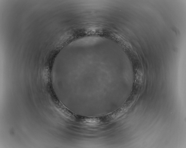 X0000110890659200907021518