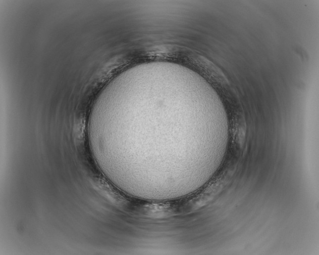 X0000110890660200907021518