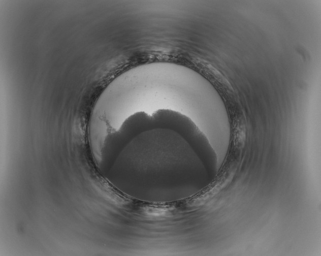 X0000110890661200907021518