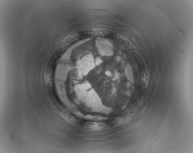 X0000110890663200907021518