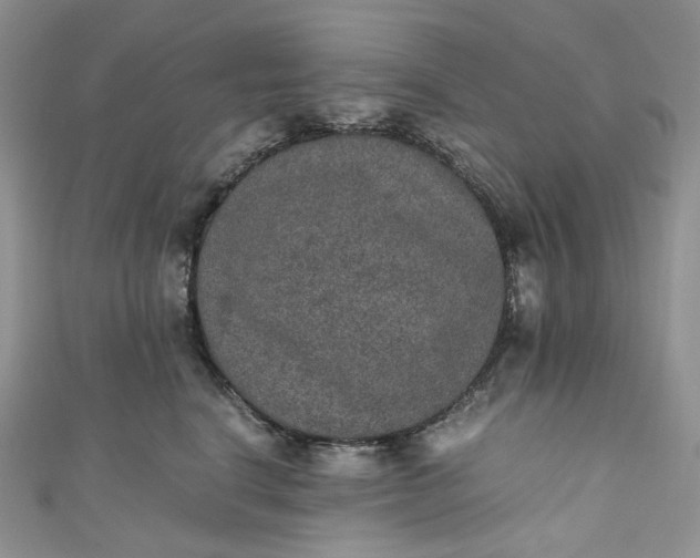 X0000110890664200907021518