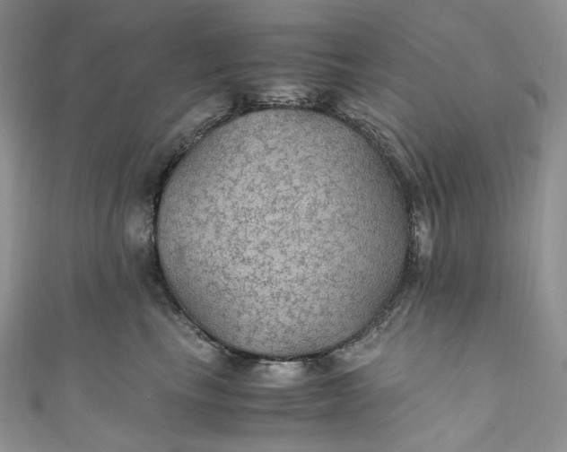 X0000110890665200907021518