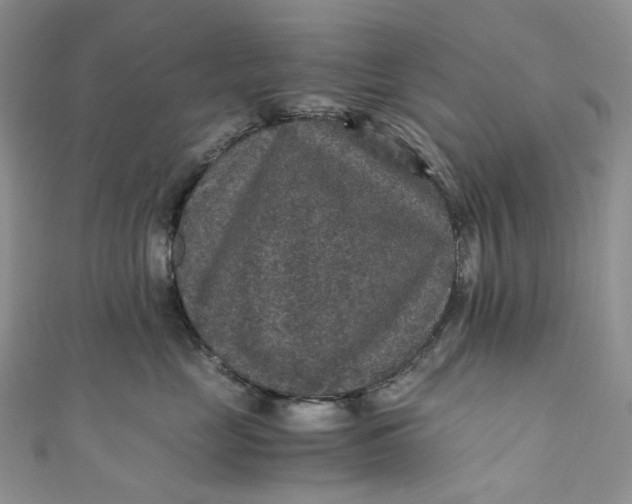 X0000110890669200907021518